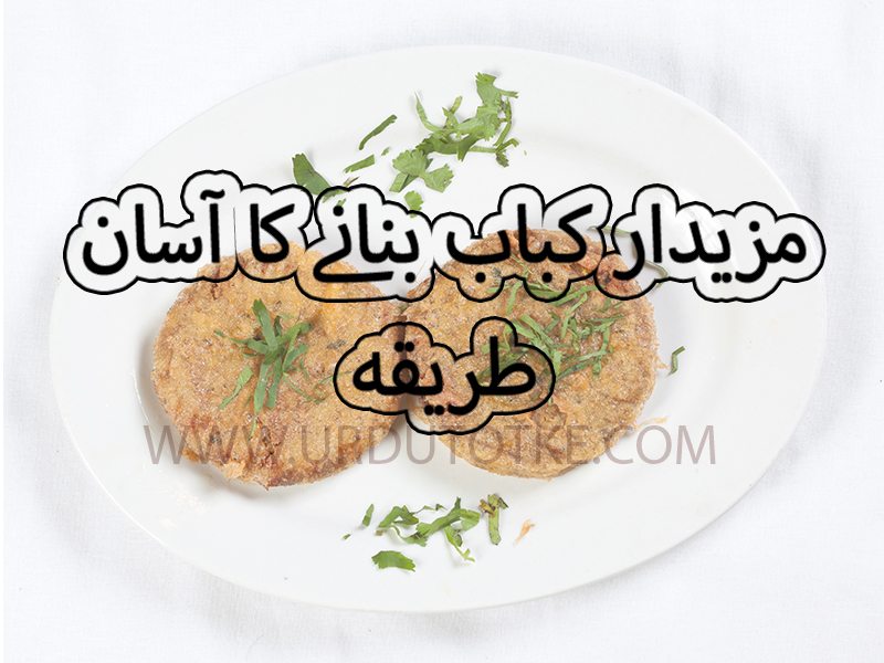 Kabab Recipe in hindi and urdu