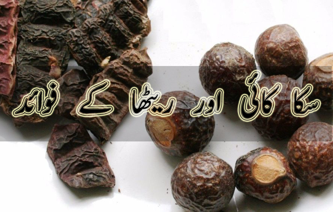 Benefits of Shikakai and Reetha for hair in urdu