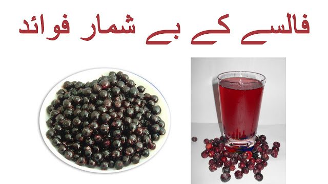 Falsa k Fayde Health Benefits