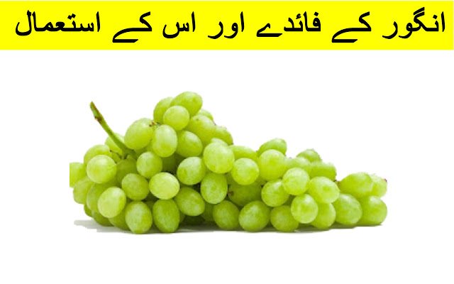 Health Benefits and Uses of Grapes in urdu and hindi