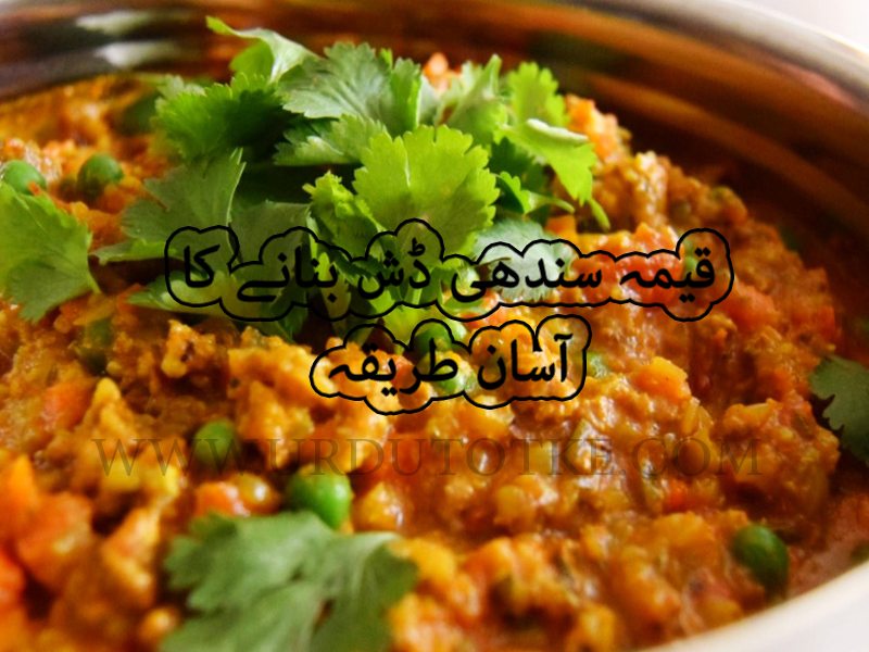 sindhi keema recipe