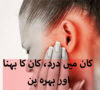 Ear pain home remedy in urdu