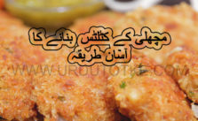 Fish cutlet recipe in urdu