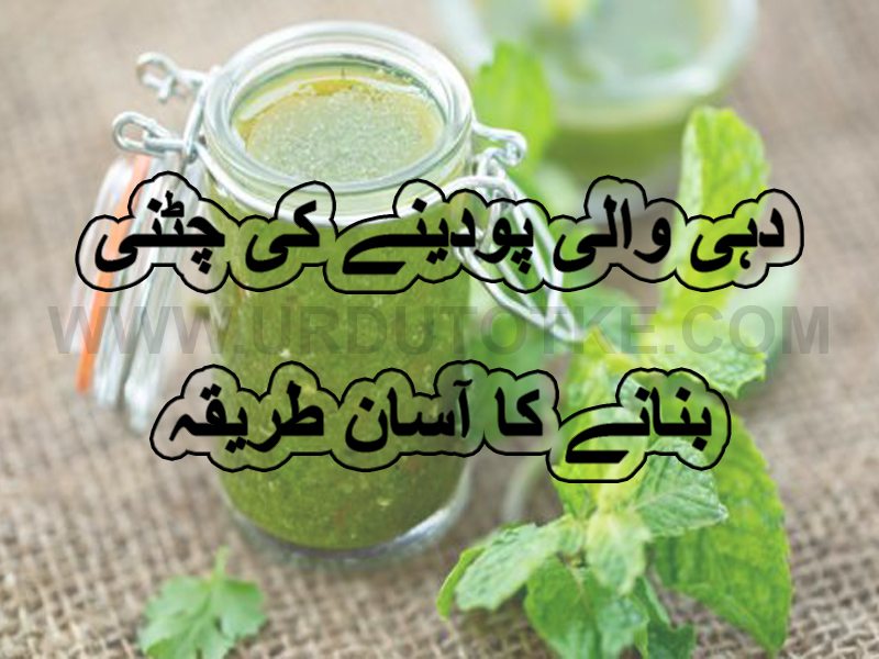 pudine ki chutney ramadan special iftar recipes