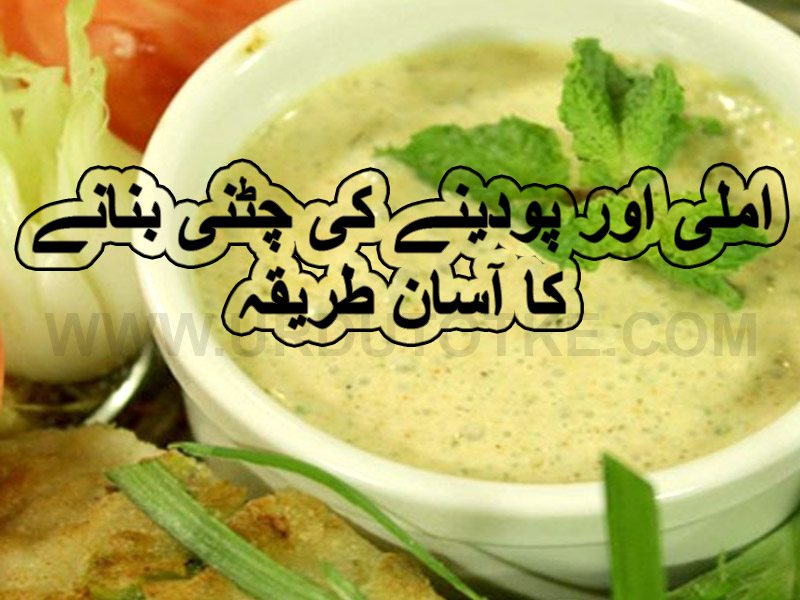 Imli aur podine ki chatney ramadan special iftar recipes