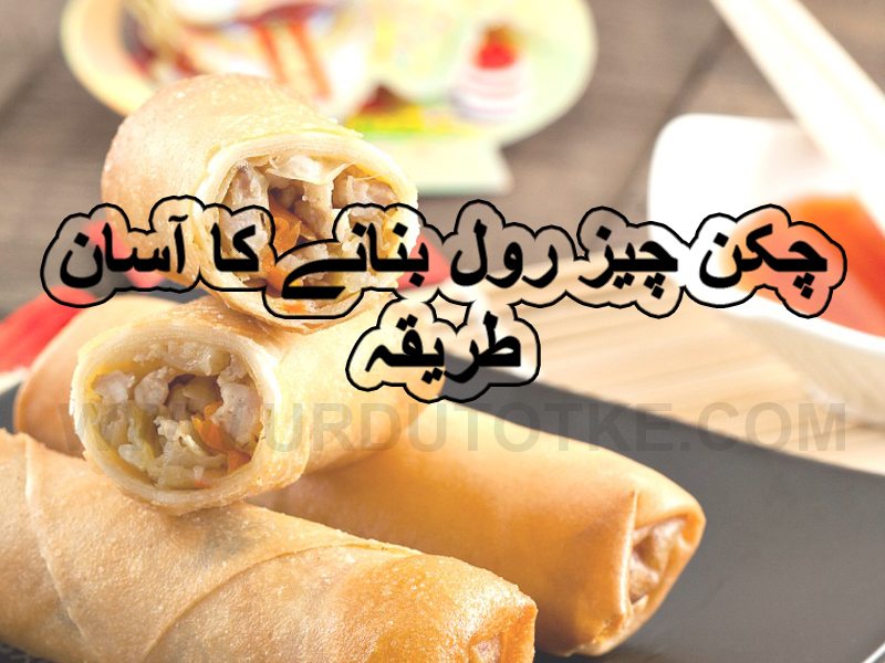 Chicken cheese roll ramadan recipes for iftar