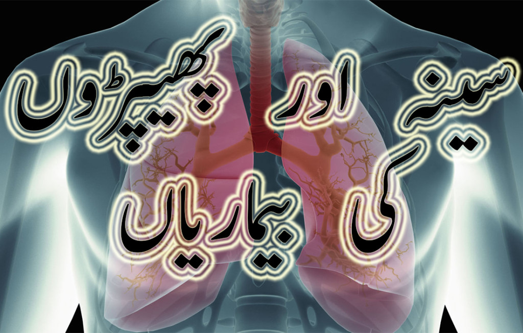 Chest and Lungs Problems Solution in Urdu