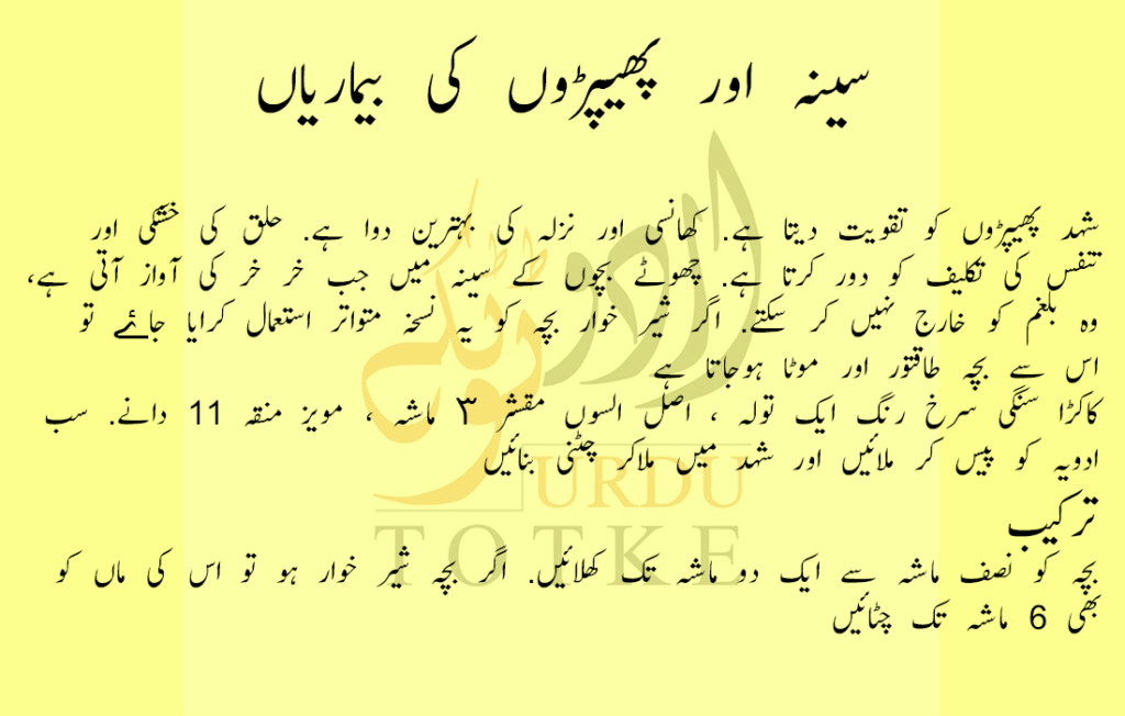 lungs diseases solutions in urdu