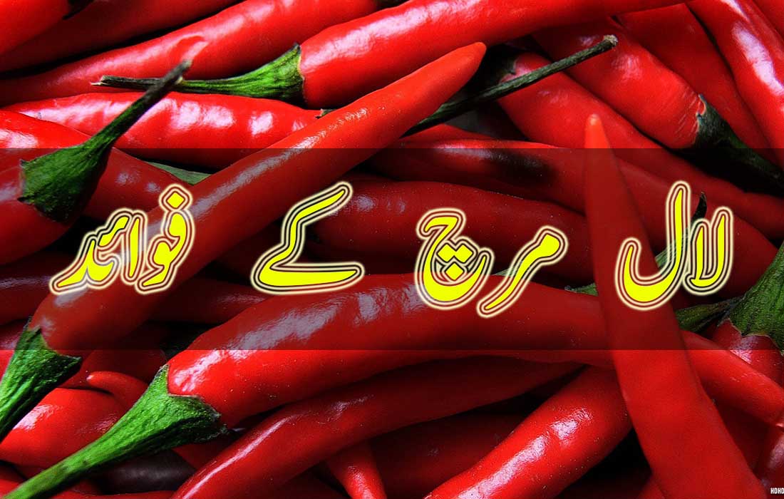 Lal Mirch (Red Chili) ke Faide in Urdu