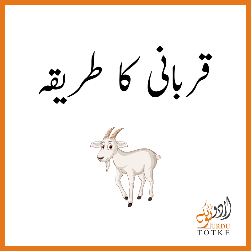 Qurbani ka Tareeqa