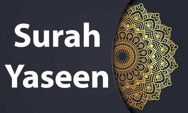 Surah Yaseen – Fazail – PDF – Audio – Read Online with Urdu Translation