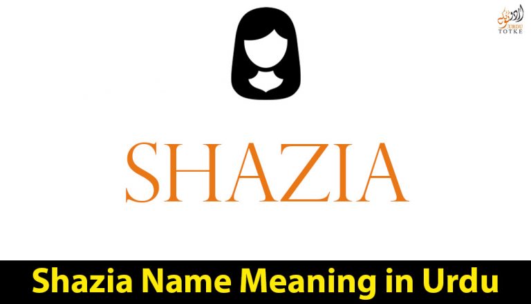 Shazia Name Meaning in Urdu - Urdu Insights