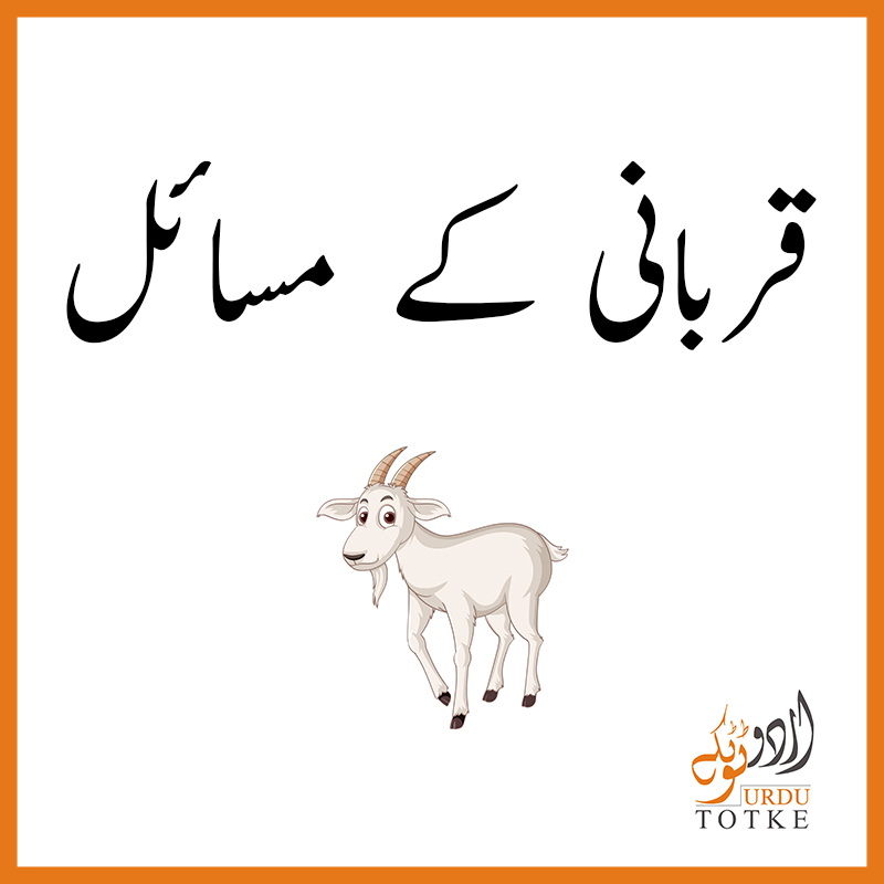 Qurbani Kay Masail