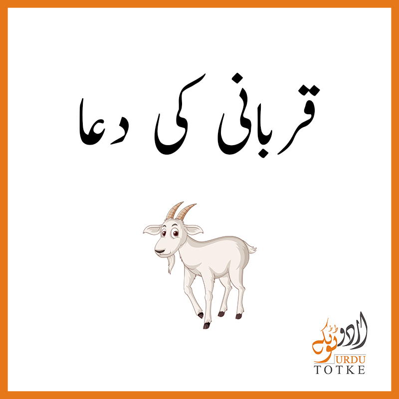 Qurbani ki Dua